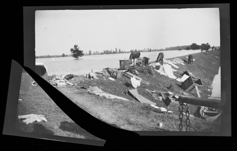 Black and white photo of belongings, including clothing and pieces of furniture, atop a grass levee. Multiple horses are on the levee eating the grass. An expanse of flooded land is visible behind the levee.