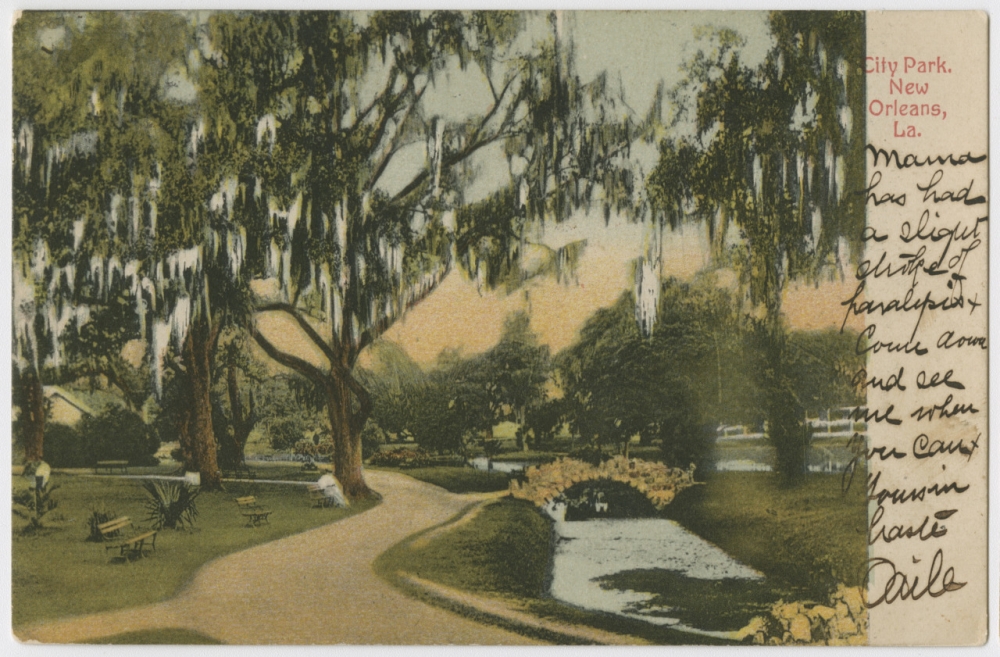 A circa 1905 postcard featuring a view of City Park in New Orleans, La. Live oaks covered in Spanish moss, various trees, shrubs, and palms surround a curved path with wooden benches and a small pond with an arched, stone pedestrian bridge. 