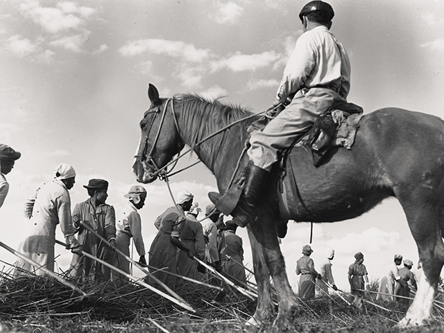 View of incarcerated women from the Louisiana State Penitentiary at Angola, West Feliciana Parish, working in a field, with a correctional officer or guard observing from horseback.
