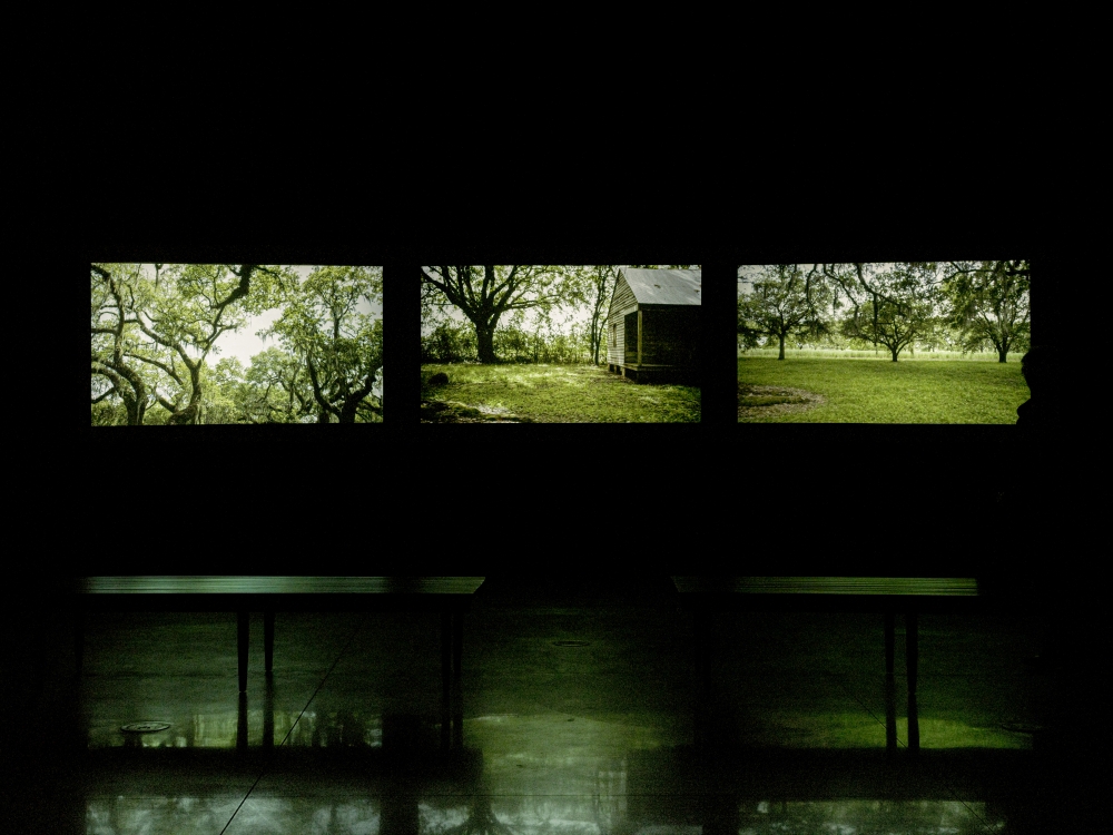 Three large video screens display Dawoud Bey's triptych "Evergreen" in a museum gallery.